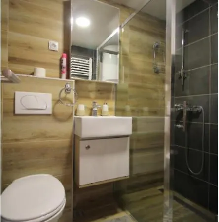 Teodosin Apartament *